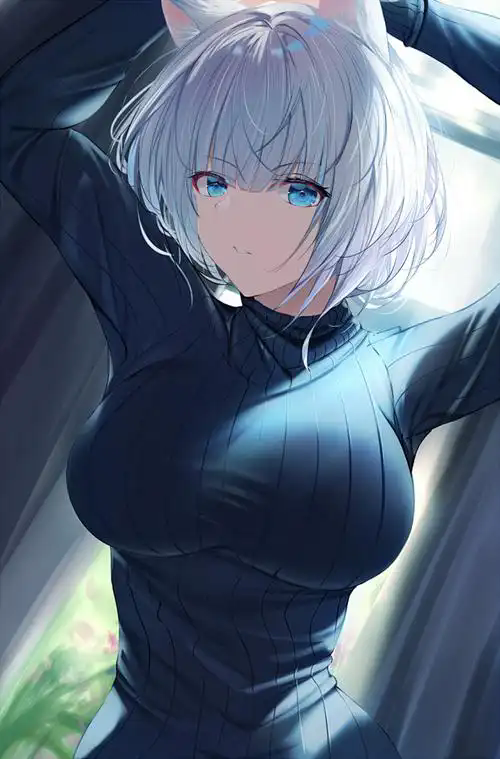 lanerc应用画面